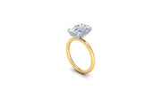 Yonne Oval Hidden Halo Two Tone Solitaire Engagement Ring (4.08cttw)